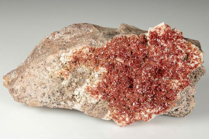 6.3" Ruby Red Vanadinite Crystals on Barite - Morocco